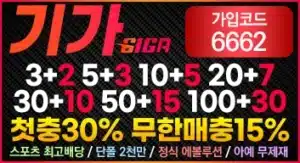 기가